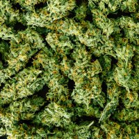 Maximizing Quality Cannabis